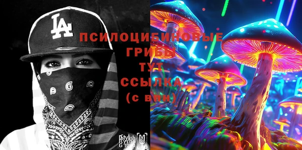 шишки Алзамай