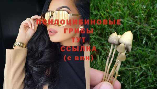 шишки Алзамай