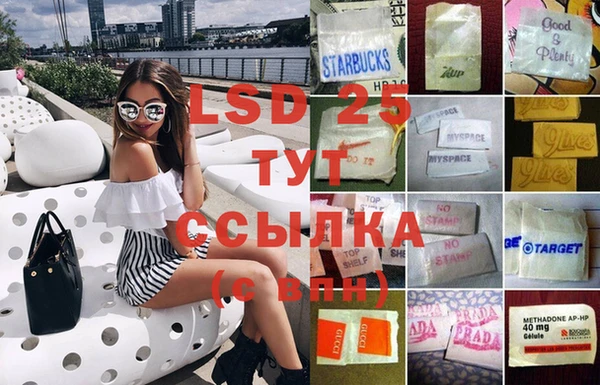 шишки Алзамай