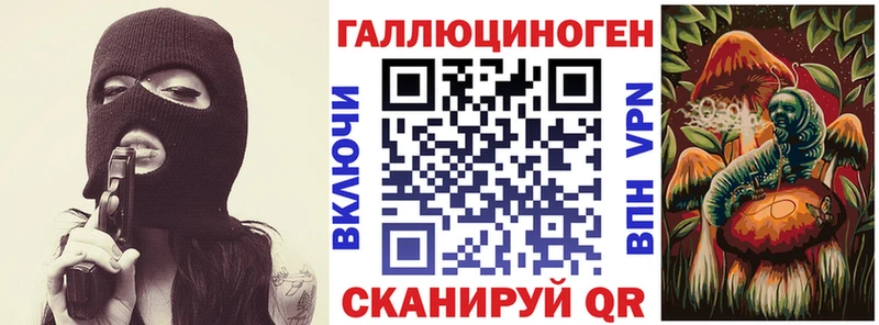 Купить закладки  Черняховск  Псилоцибиновые грибы Psilocybe 